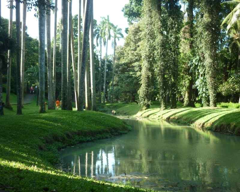 Menjelajahi Keindahan Tersembunyi: Situ Cilongok, Oase di Tengah Hiruk Pikuk Pasar Kemis