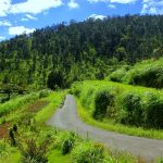 Merasakan Hawa Dingin Pegunungan di Desa Wisata Kopeng