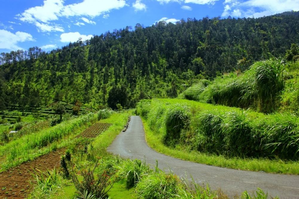Wisata Kopeng