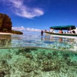 Mau Wisata Bawah Air yang Menakjubkan Kunjungilah Taman Laut Bunaken
