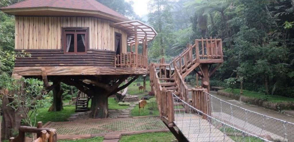 Tree House