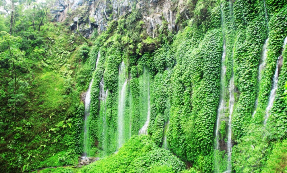 Air Terjun Sumber Pitu Malang