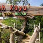 Omah Kayu Malang
