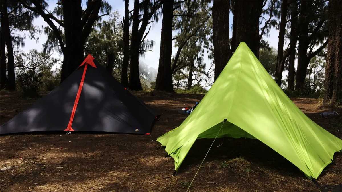 Area Camping yang Masih Sangat Asri