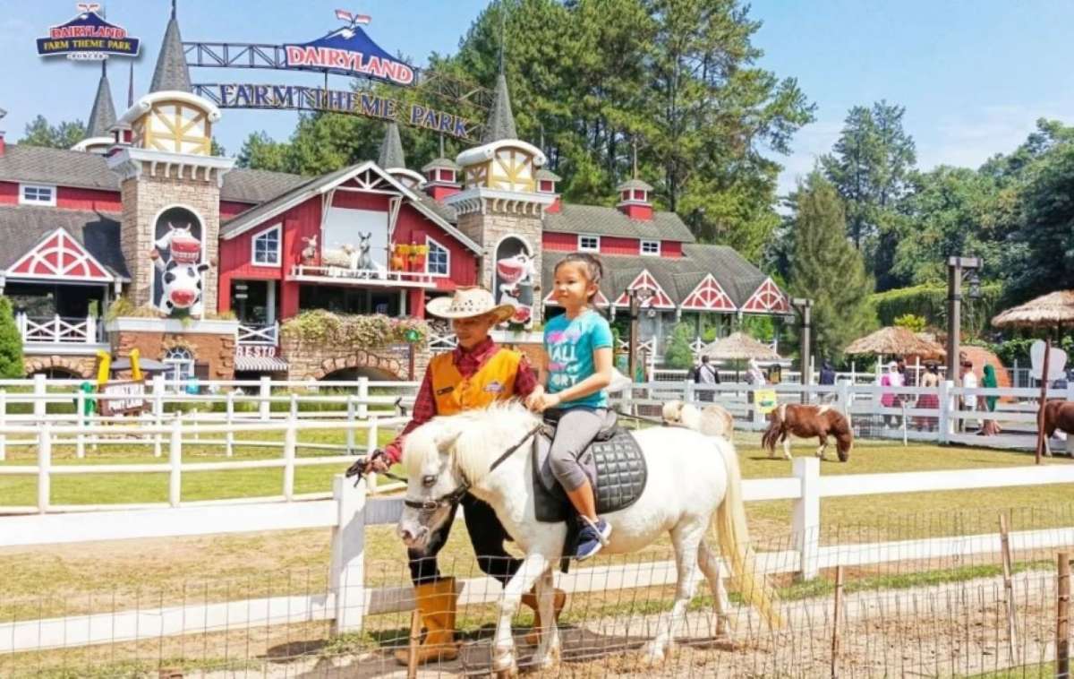 Cimory Dairyland atau Dairyland Farm Theme Park