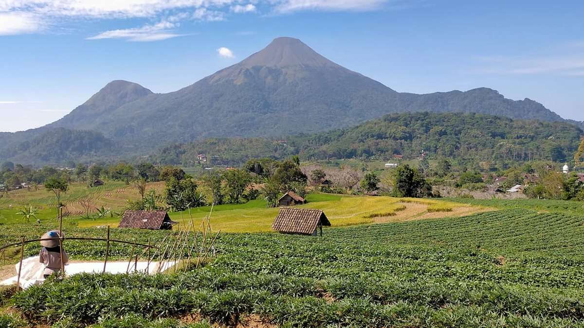 Gunung Penanggungan