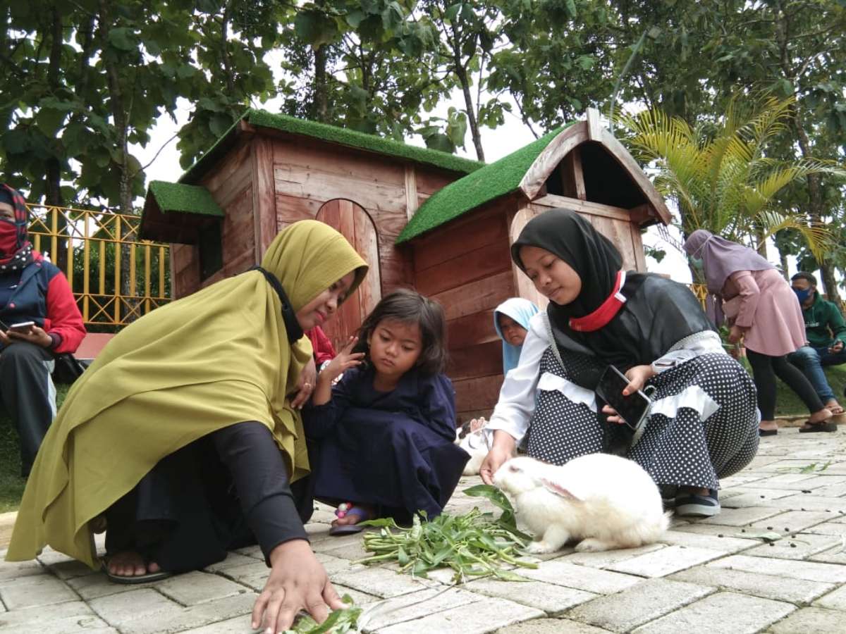 Interaksi dengan Hewan di Mini Zoo