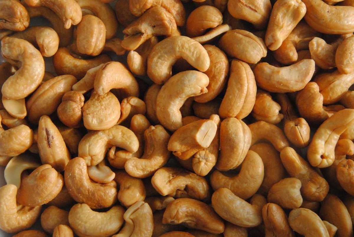 Kacang Mete Lombok