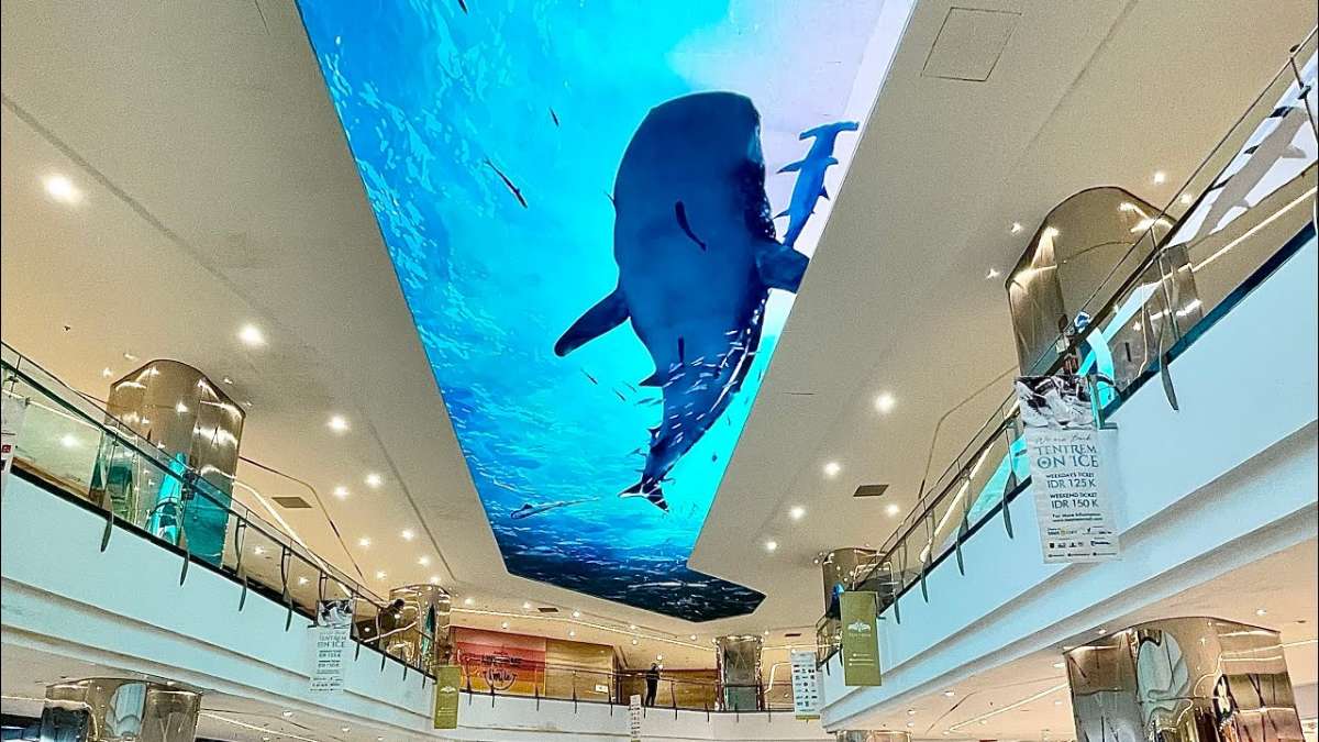 Mall “Entertainment”