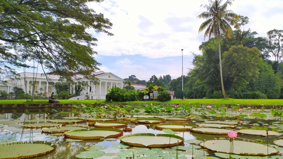 Mengabadikan Keindahan Alam