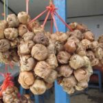 Oleh-Oleh Khas Pacitan