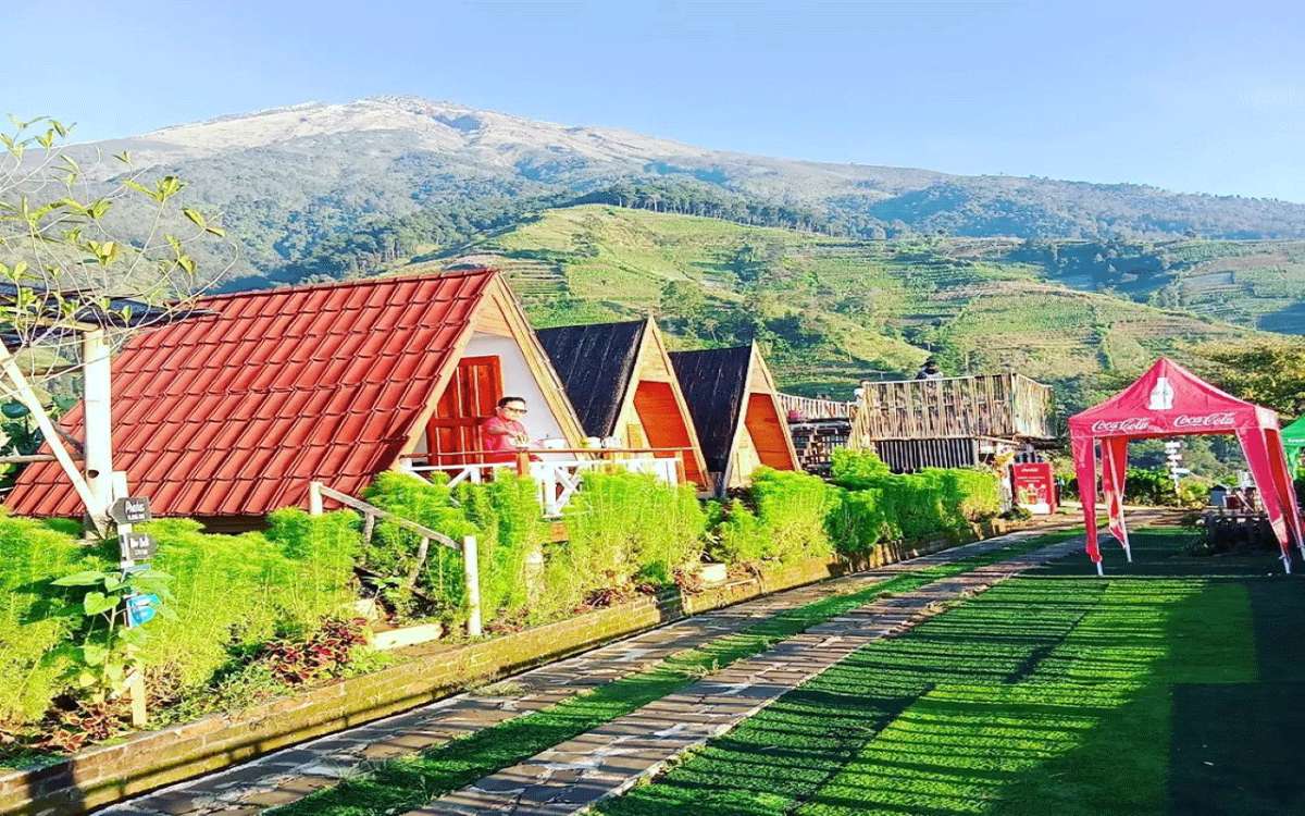 Pemandangan Indah dari Ketinggian