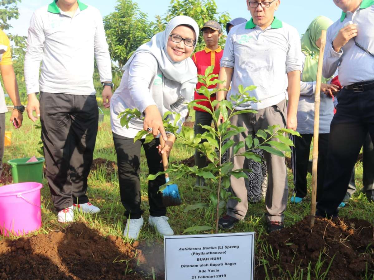 Riset Botani