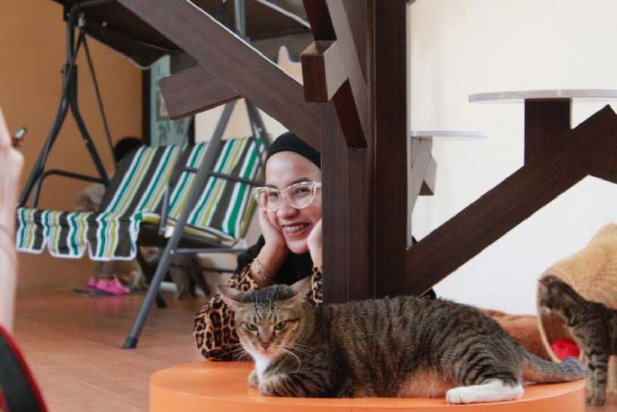 Rumah Kucing