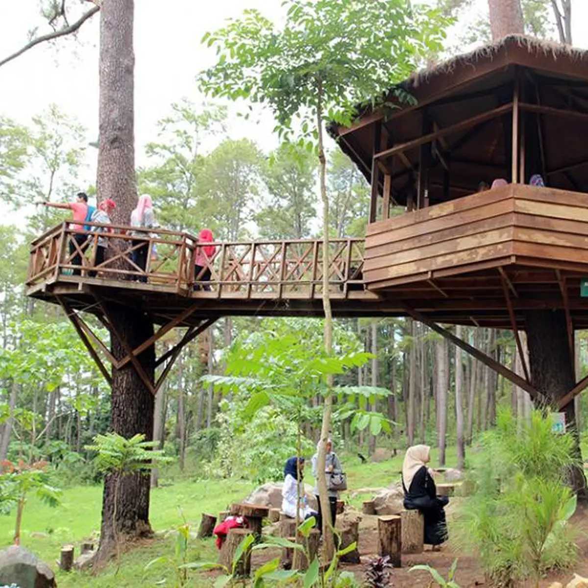 Rumah Pohon Jatiasih