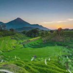 tempat wisata mojokerto