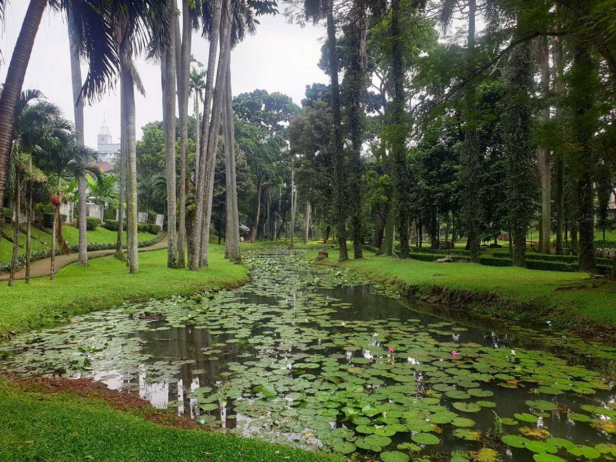 Tentang Taman Langsat