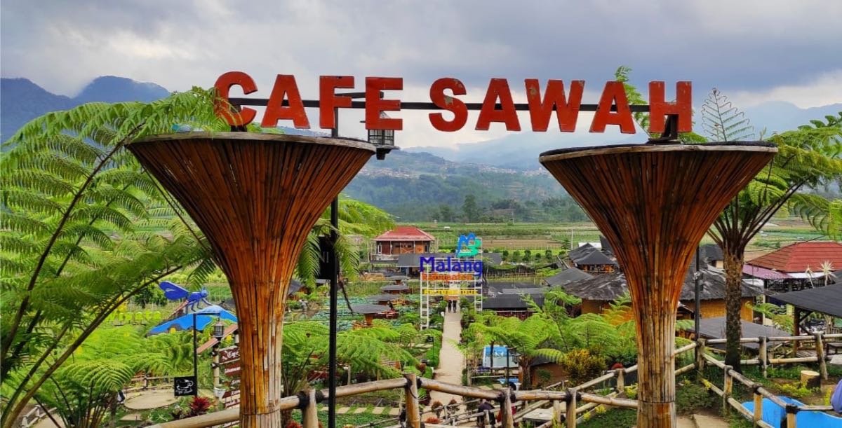 Daya Tarik yang Bisa Ditemukan di Cafe Sawah Pujon Kidul