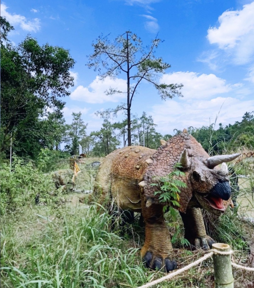 Kegiatan Menarik di Dino Park Jogja