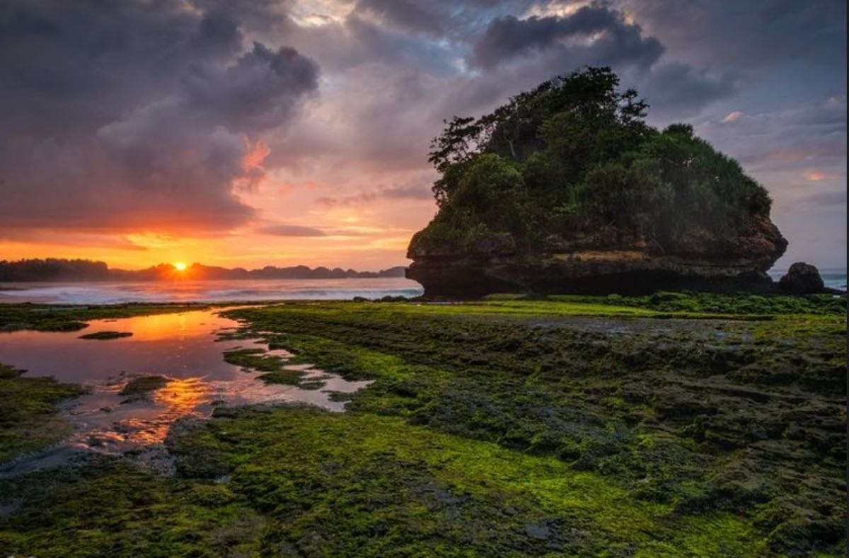 Pantai Parang Dowo