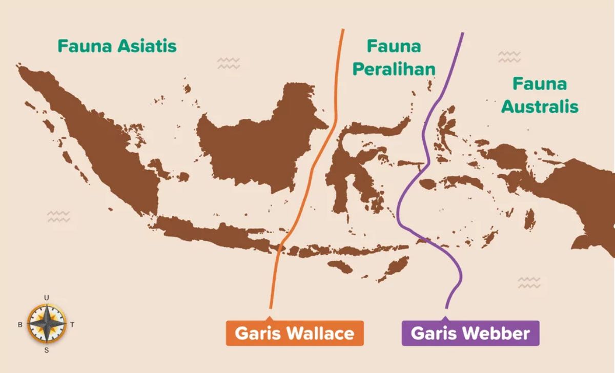 Peta Persebaran Flora dan Fauna di Indonesia