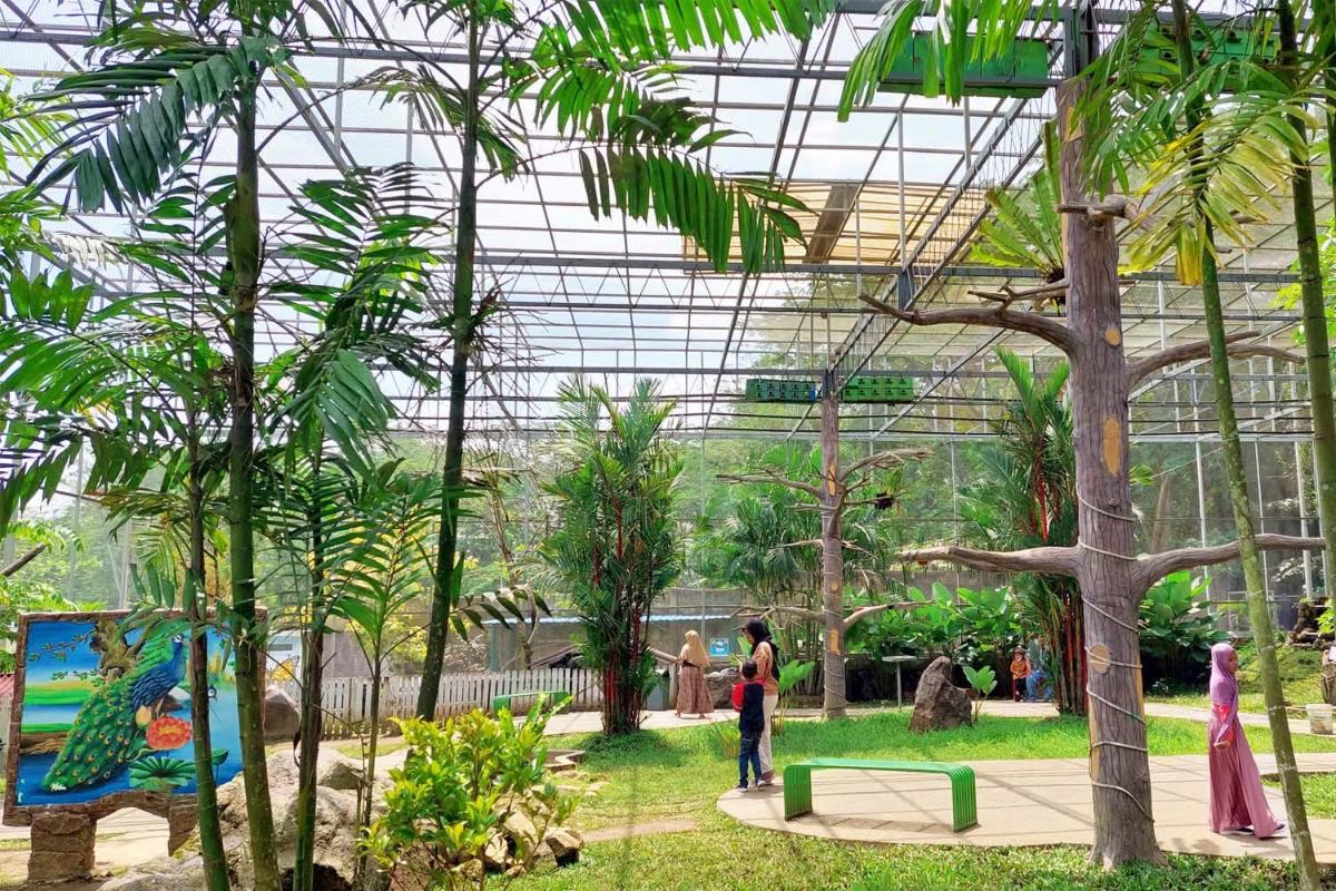 Tiket Kebun Binatang Pancur Batu