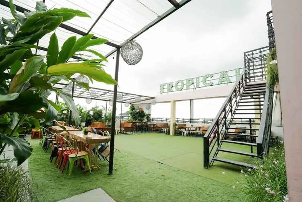 Tropical Rooftop