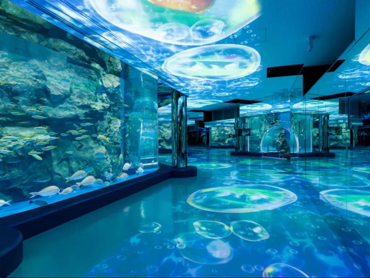 Jakarta Aquarium