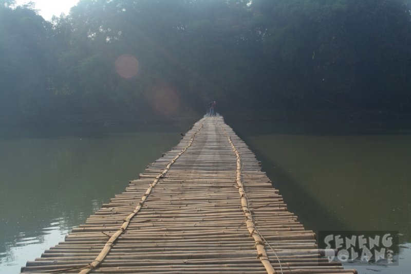 Sesek Progo