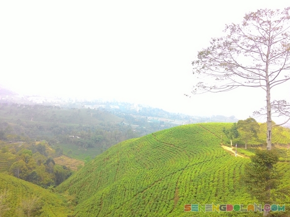 Kemuning Karanganyar Jawa Tengah