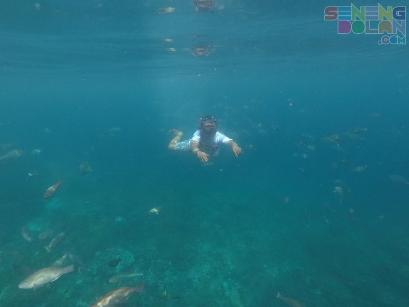 Raja Ampat
