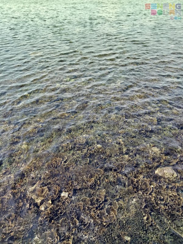 Raja Ampat