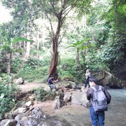 Air Terjun Curug Pitu Banjarnegara